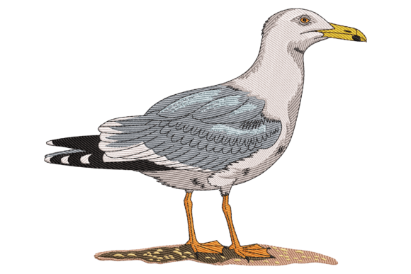 Seagull Bird Embroidery Design Review